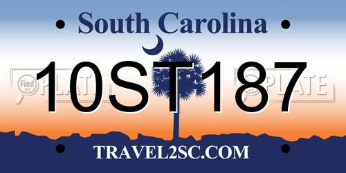 10ST187 South Carolina License Plate