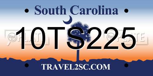 10TS225 South Carolina License Plate