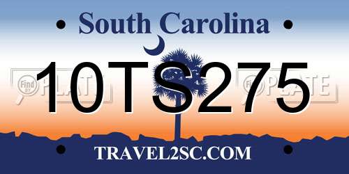 10TS275 South Carolina License Plate