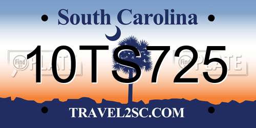 10TS725 South Carolina License Plate