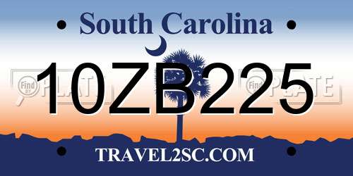 10ZB225 South Carolina License Plate