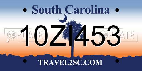 10ZI453 South Carolina License Plate