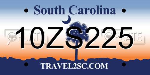 10ZS225 South Carolina License Plate