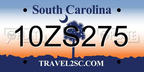 10ZS275 South Carolina License Plate