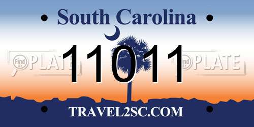 11011 South Carolina License Plate