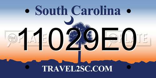 11029E0 South Carolina License Plate
