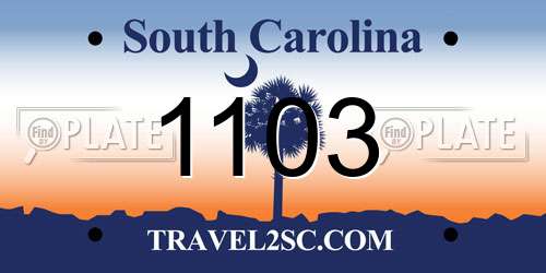 1103 South Carolina License Plate