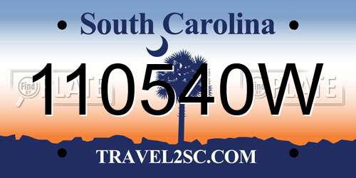 110540W South Carolina License Plate