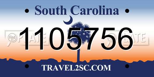 1105756 South Carolina License Plate