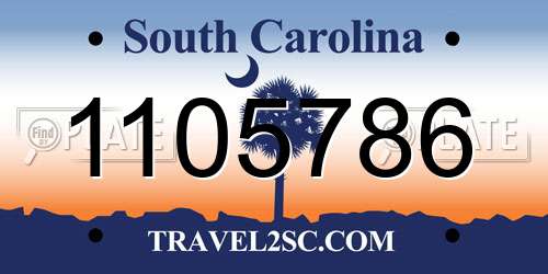 1105786 South Carolina License Plate