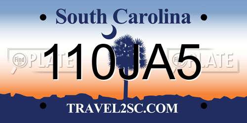 110JA5 South Carolina License Plate