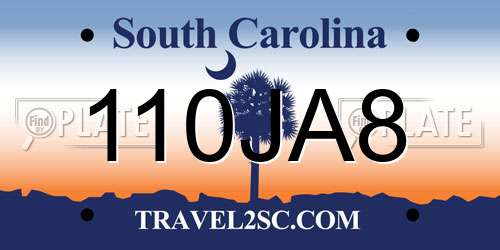 110JA8 South Carolina License Plate
