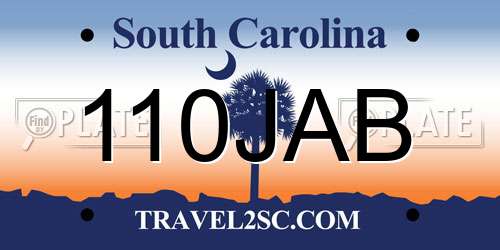 110JAB South Carolina License Plate