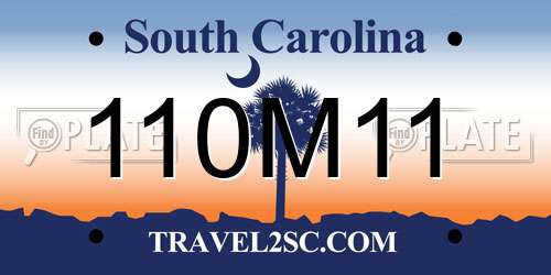 110M11 South Carolina License Plate