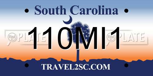 110MI1 South Carolina License Plate