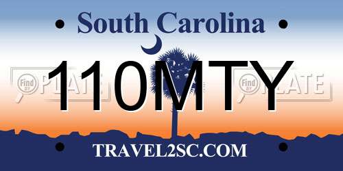 110MTY South Carolina License Plate