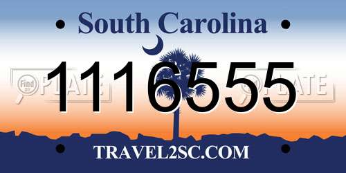 1116555 South Carolina License Plate