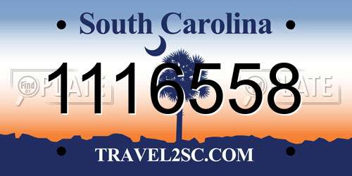 1116558 South Carolina License Plate