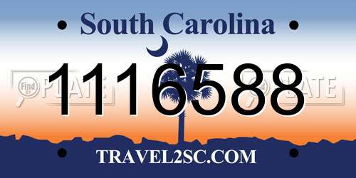 1116588 South Carolina License Plate