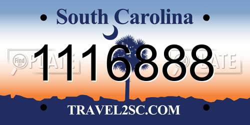 1116888 South Carolina License Plate