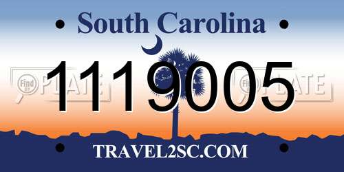 1119005 South Carolina License Plate