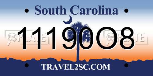 11190O8 South Carolina License Plate