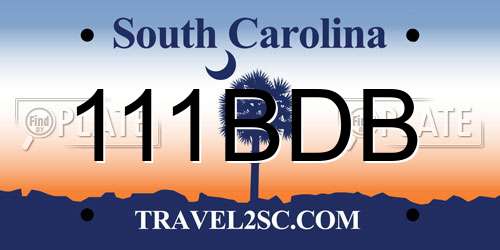111BDB South Carolina License Plate