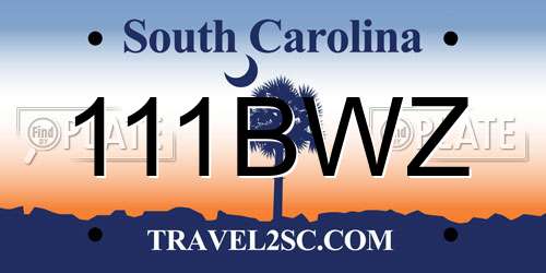 111BWZ South Carolina License Plate