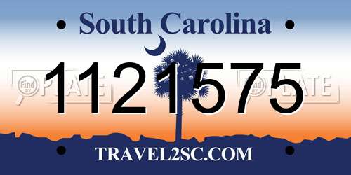 1121575 South Carolina License Plate