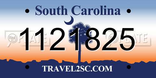1121825 South Carolina License Plate