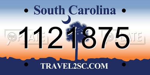 1121875 South Carolina License Plate