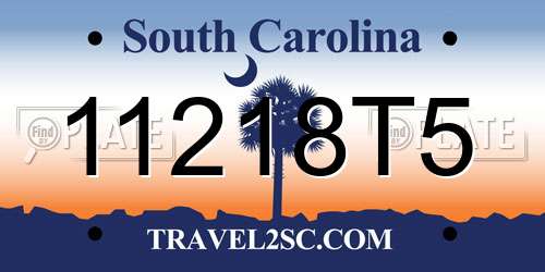 11218T5 South Carolina License Plate