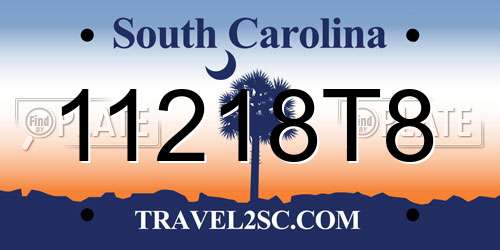 11218T8 South Carolina License Plate
