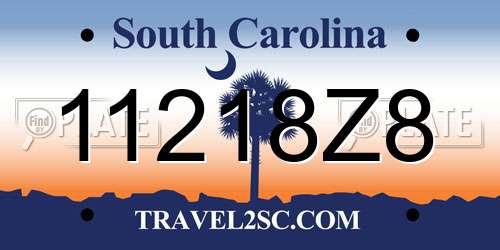 11218Z8 South Carolina License Plate