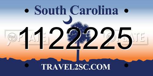 1122225 South Carolina License Plate