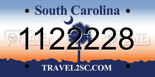 1122228 South Carolina License Plate