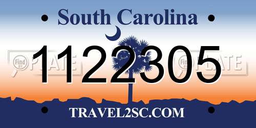 1122305 South Carolina License Plate
