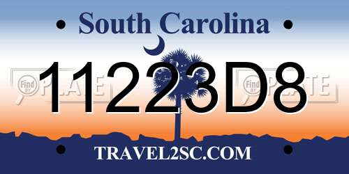 11223D8 South Carolina License Plate