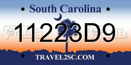 11223D9 South Carolina License Plate