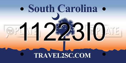 11223I0 South Carolina License Plate