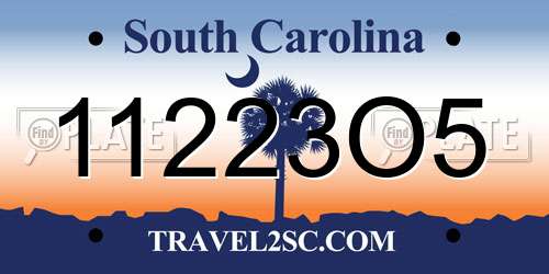 11223O5 South Carolina License Plate