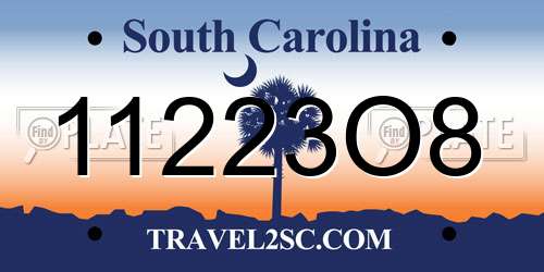 11223O8 South Carolina License Plate