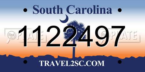 1122497 South Carolina License Plate