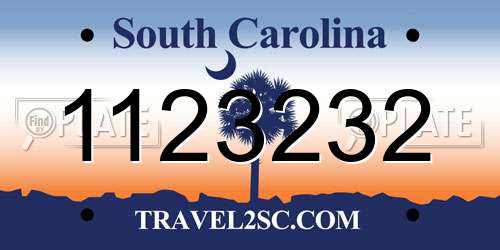 1123232 South Carolina License Plate