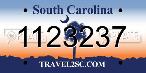 1123237 South Carolina License Plate