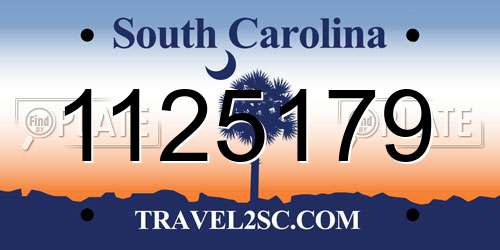 1125179 South Carolina License Plate