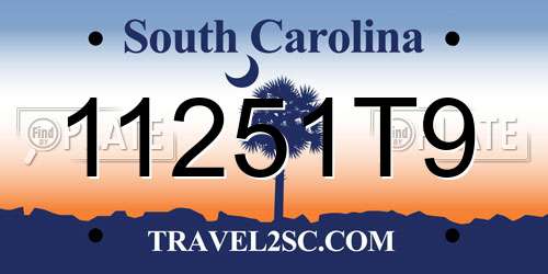 11251T9 South Carolina License Plate