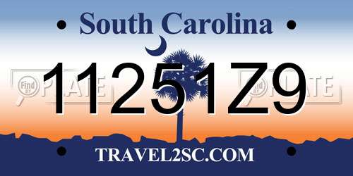 11251Z9 South Carolina License Plate