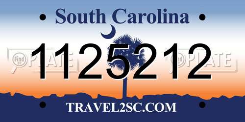 1125212 South Carolina License Plate