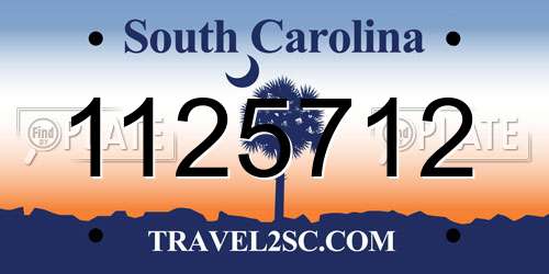 1125712 South Carolina License Plate